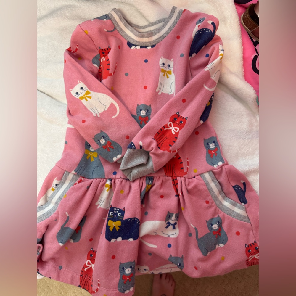 Mini Boden sweatshirt dress